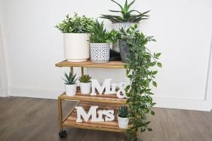 kunstplanten in huis