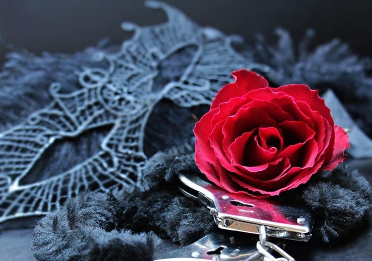Seksloze relatie: is een high-class gigolo een goed idee?